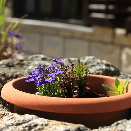 Tri Zala 174b Zrnovo