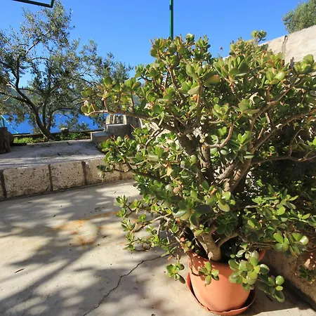 Tri Zala 174b Zrnovo