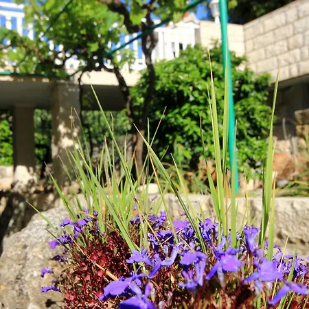 Apartament Tri Zala 174b Zrnovo