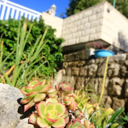 Tri Zala 174b Apartament Zrnovo