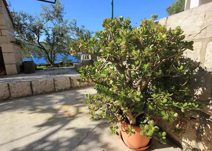 Tri Zala 174b Zrnovo