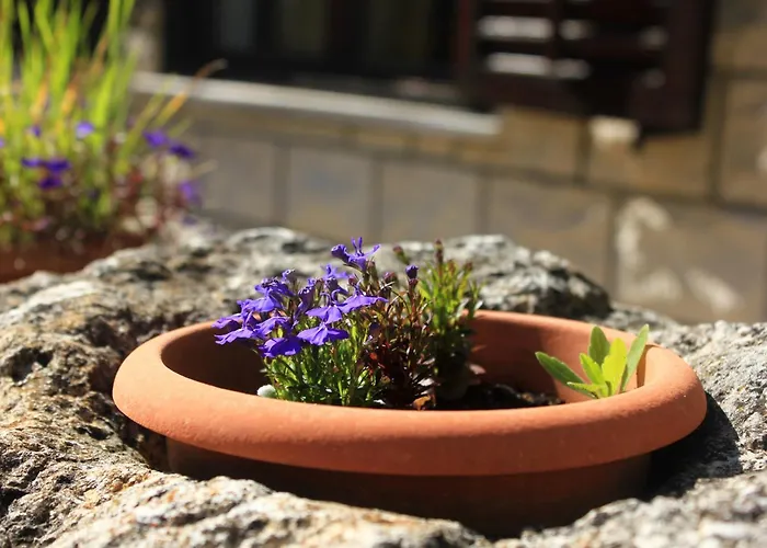 Tri Zala 174b Zrnovo