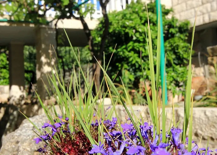 Appartement Tri Zala 174b Zrnovo