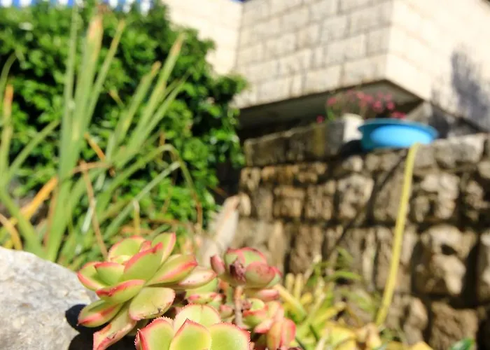 Tri Zala 174b Appartement Zrnovo